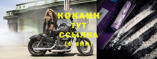 spice Алзамай